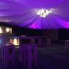 Vliesdoek wit (verkoop) - Afbeelding 6